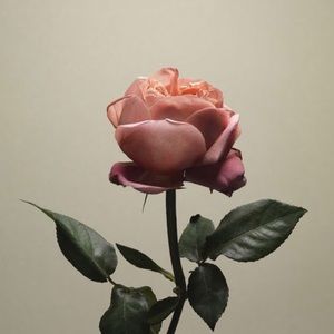 Meet your Posher, Jillian